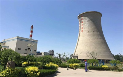 工業(yè)循環(huán)水系統(tǒng)中常見(jiàn)微生物的種類及危害 工業(yè)循環(huán)水系統(tǒng)中常見(jiàn)微生物的種類及危害